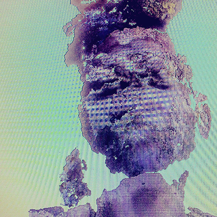 Interrupted 3D scan by artist Paul Coombs